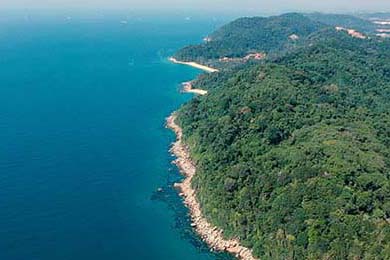 爱尔兰政府加大对女子橄榄球投资力度，橄榄球爱尔兰和北爱尔兰